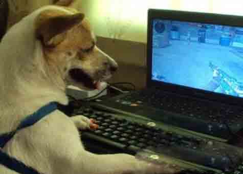 月入1000的兼职网上就可以实现