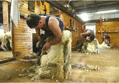 如何找到最新薅羊毛赚钱活动